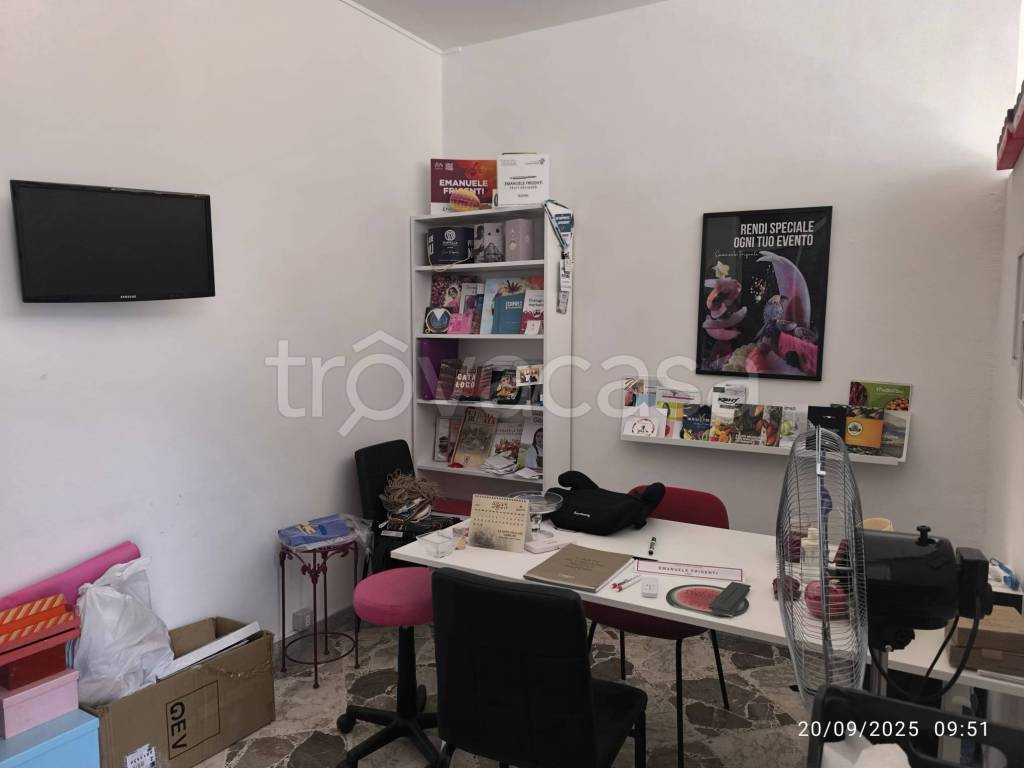 immagine annuncio 2 di 13