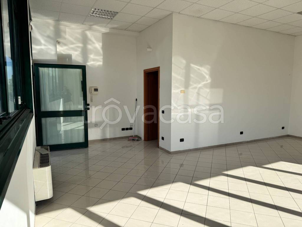 immagine annuncio 2 di 6