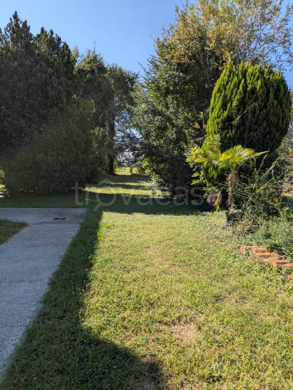 immagine annuncio 2 di 6