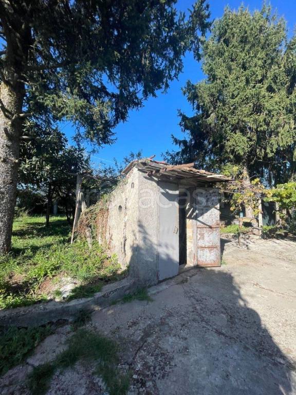 immagine annuncio 3 di 12