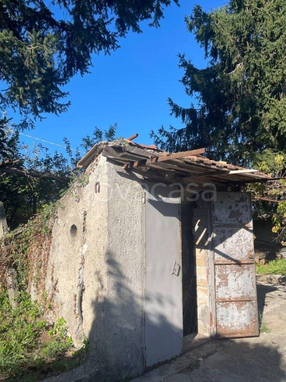 immagine annuncio 4 di 12