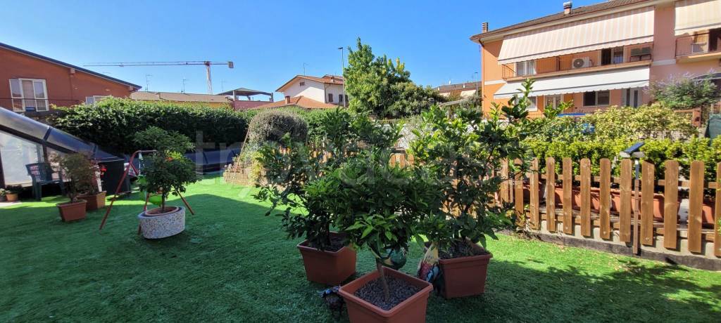 immagine annuncio 9 di 15