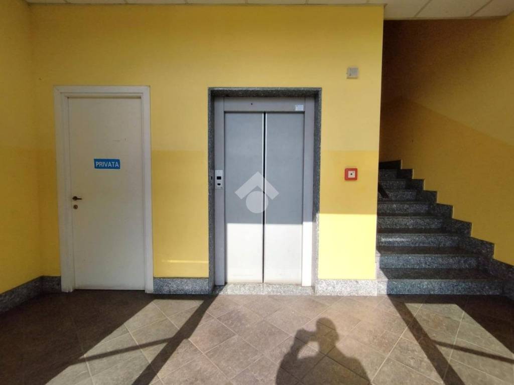 immagine annuncio 11 di 14