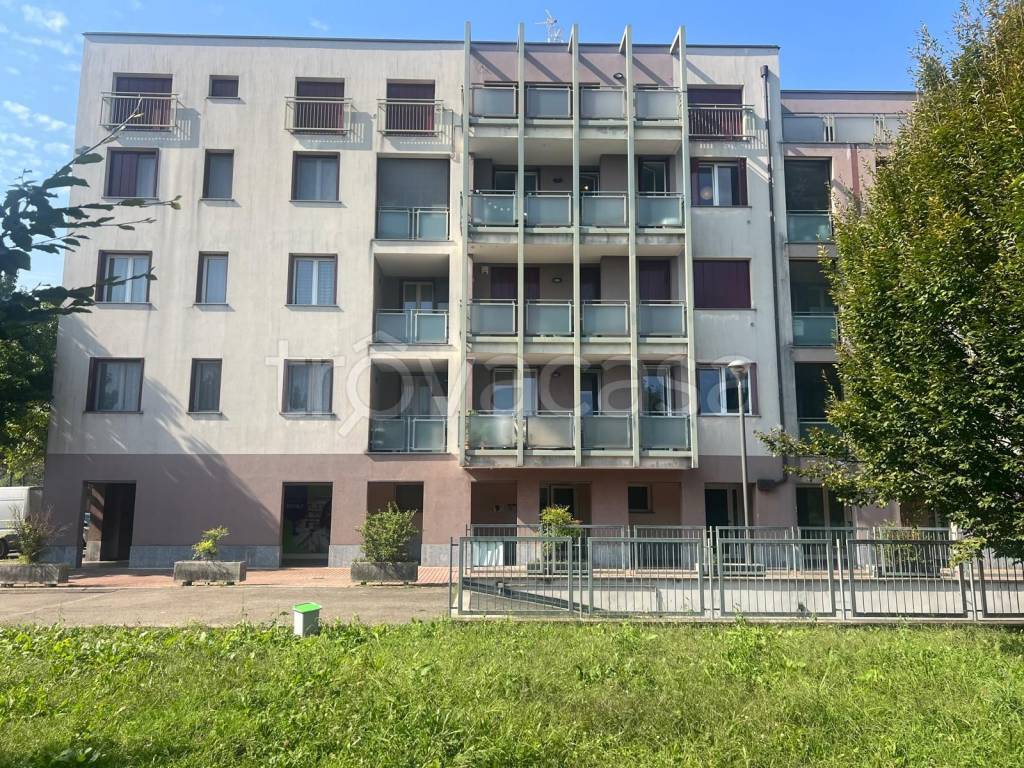 immagine annuncio 1 di 15