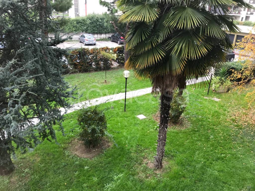 immagine annuncio 3 di 6