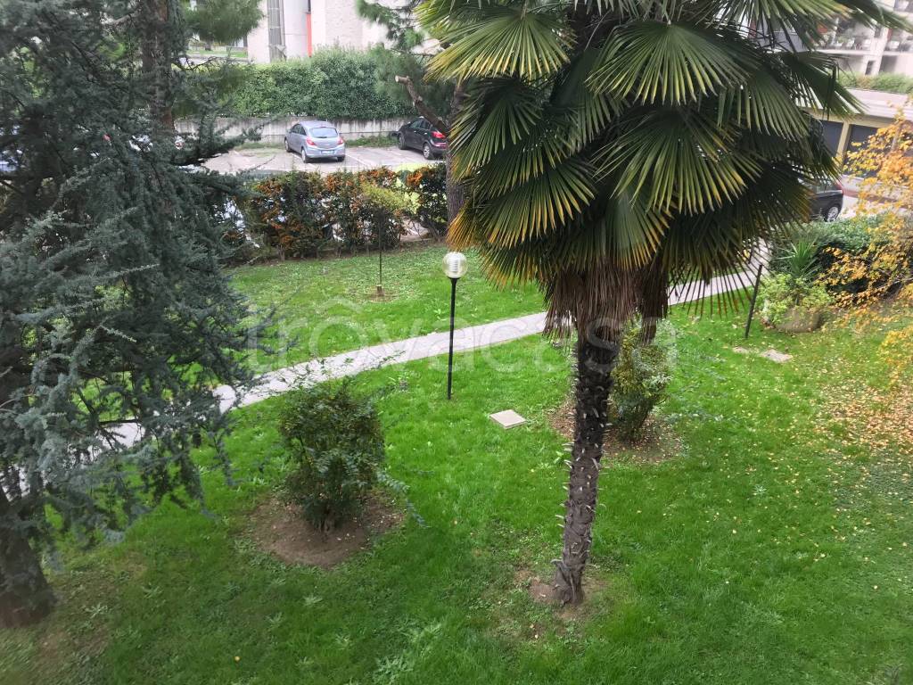 immagine annuncio 4 di 6