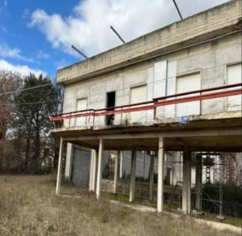 immagine annuncio 3 di 12