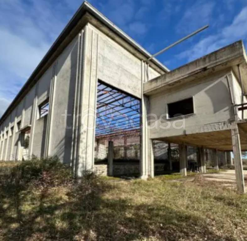 immagine annuncio 6 di 12