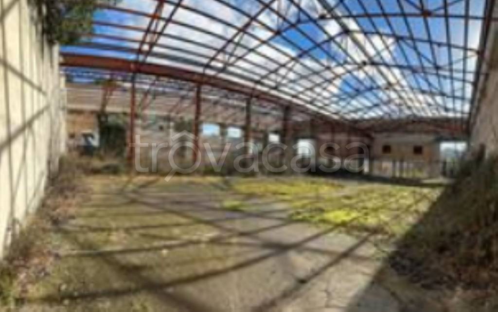 immagine annuncio 7 di 12