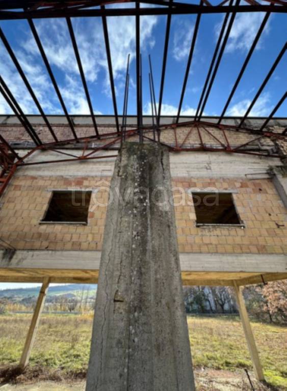 immagine annuncio 8 di 12