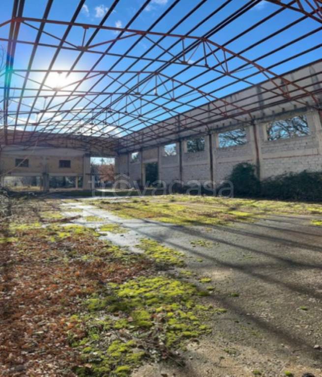 immagine annuncio 9 di 12