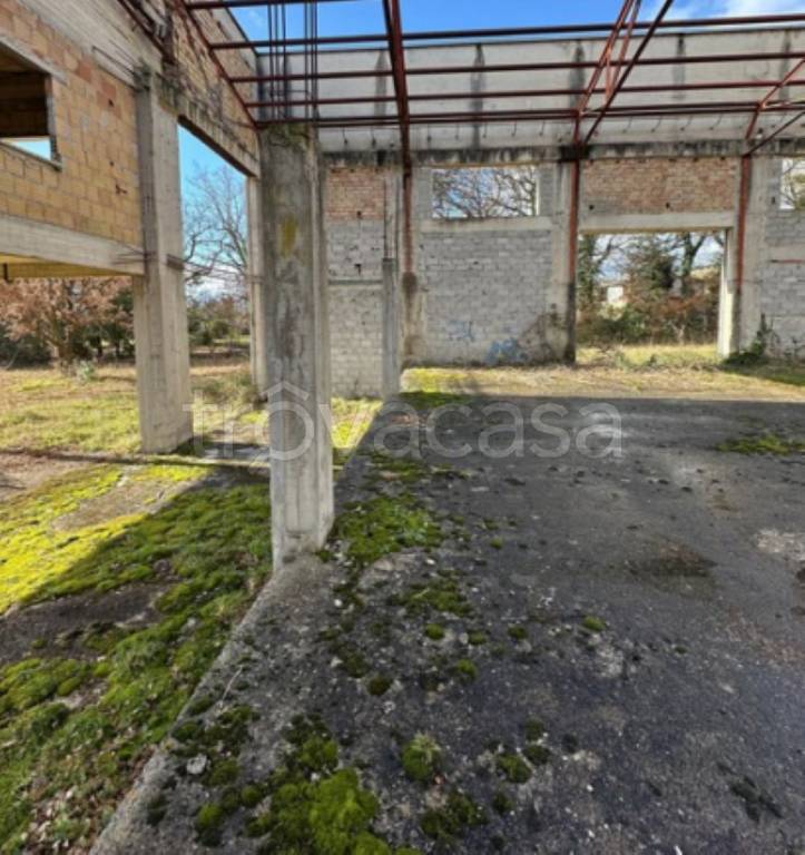 immagine annuncio 11 di 12