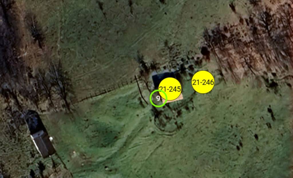 immagine annuncio 2 di 11