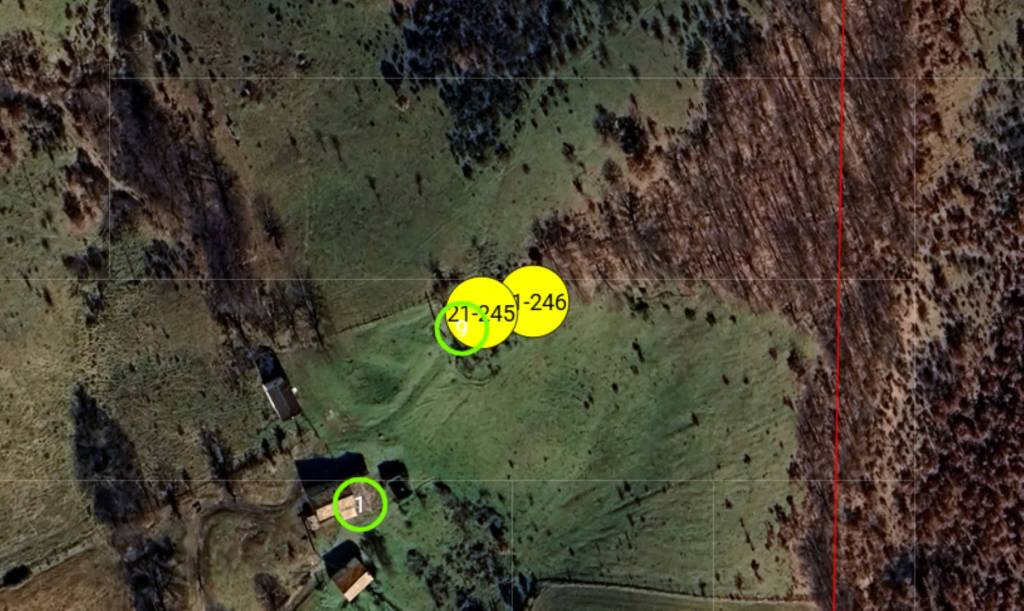 immagine annuncio 6 di 11