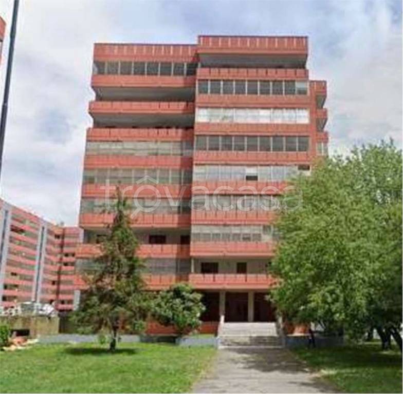 immagine annuncio 7 di 13
