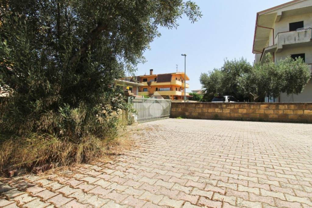 immagine annuncio 3 di 14