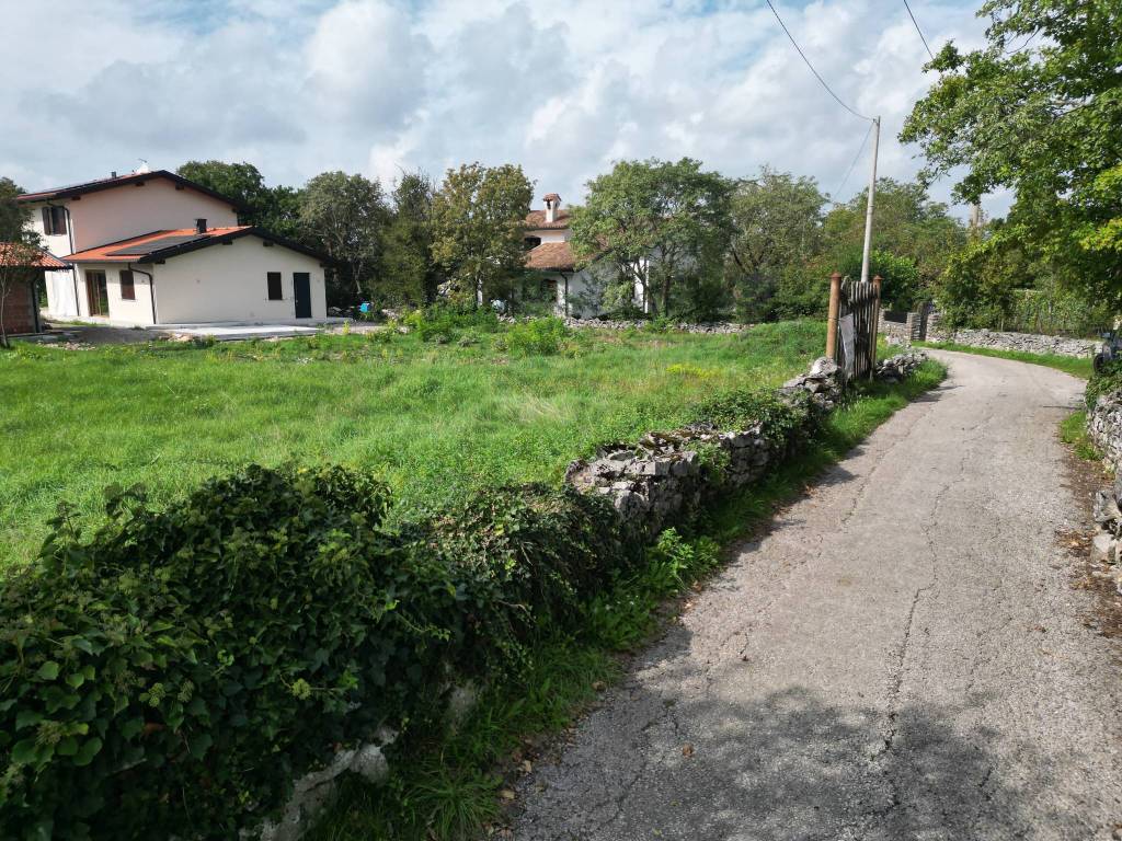 immagine annuncio 5 di 11