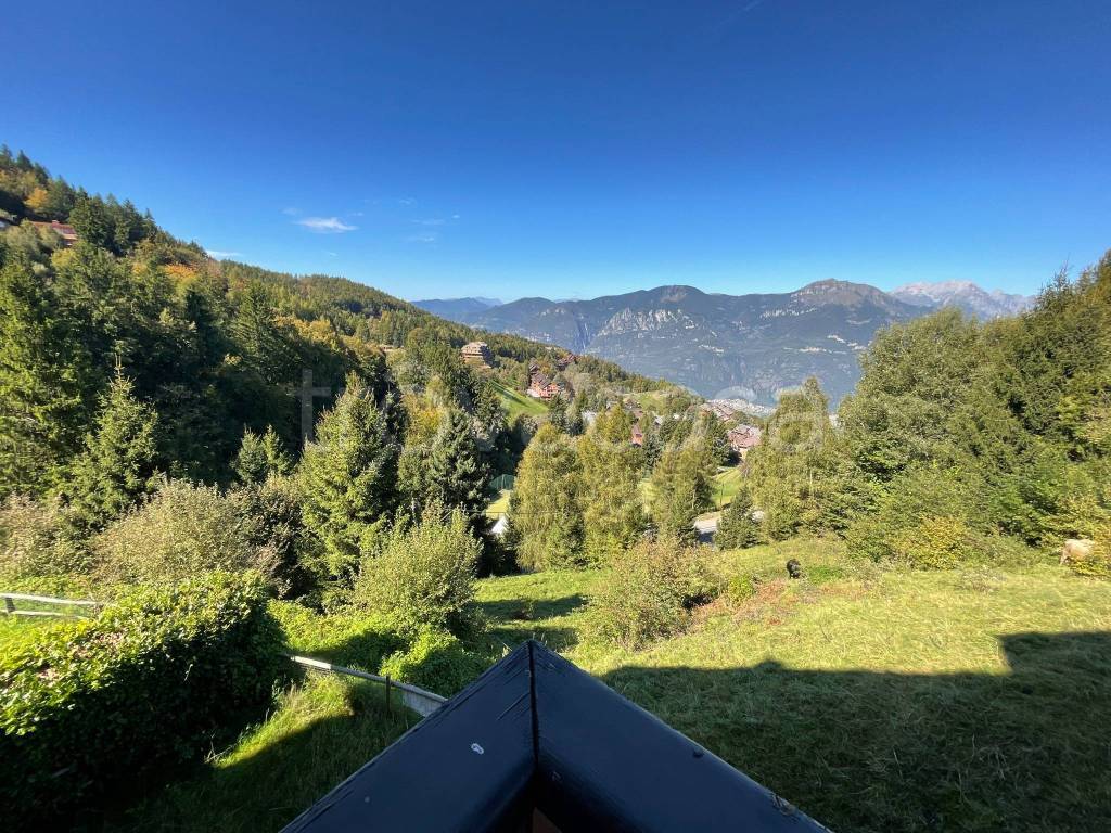 immagine annuncio 11 di 14