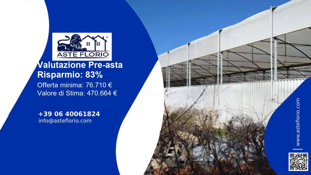 immagine annuncio 1 di 12