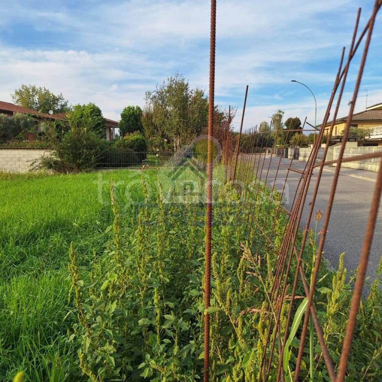 immagine annuncio 6 di 9