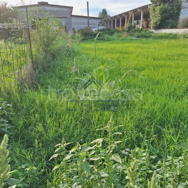 immagine annuncio 7 di 9