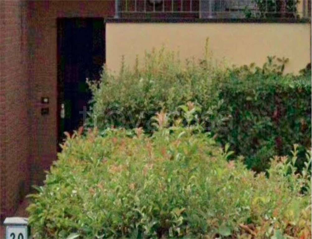 immagine annuncio 12 di 14