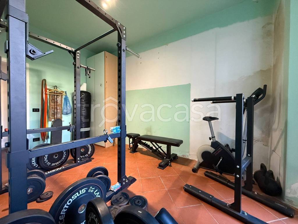 immagine annuncio 11 di 15