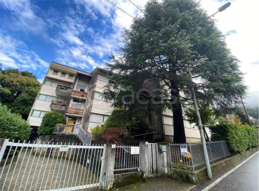 immagine annuncio 8 di 11