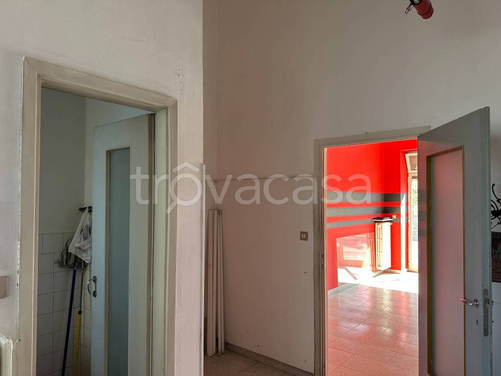 immagine annuncio 5 di 12
