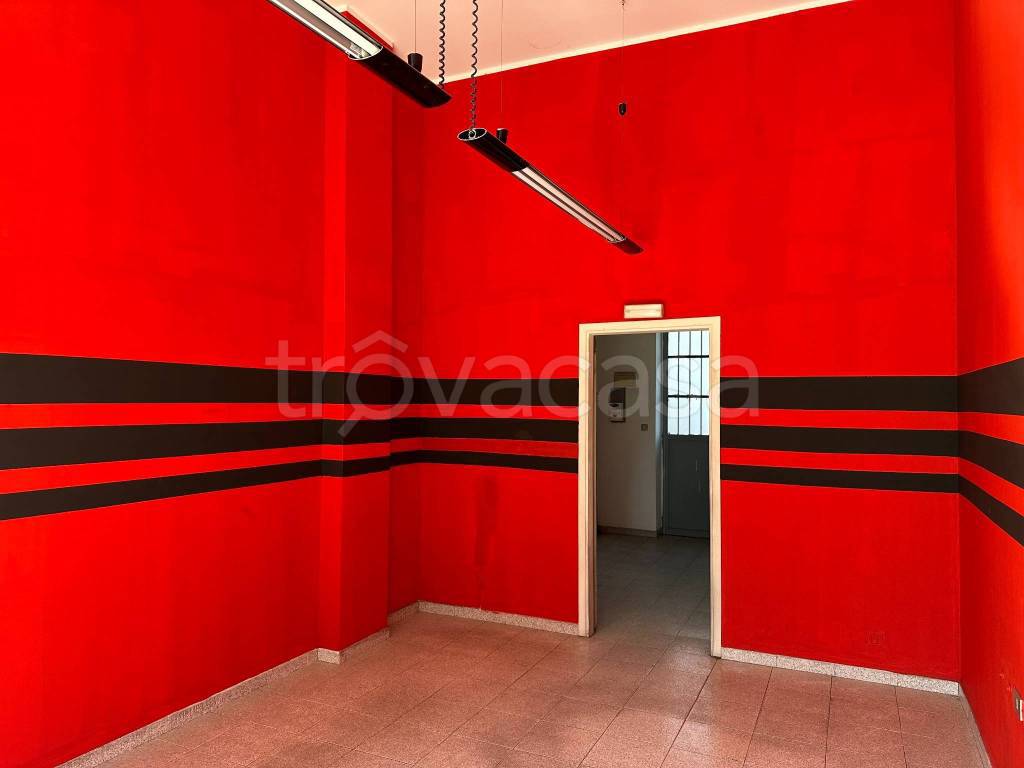 immagine annuncio 1 di 12