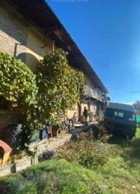immagine annuncio 6 di 14