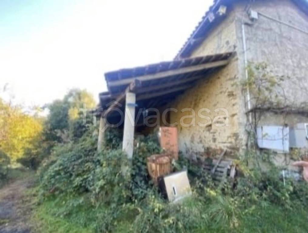 immagine annuncio 10 di 14