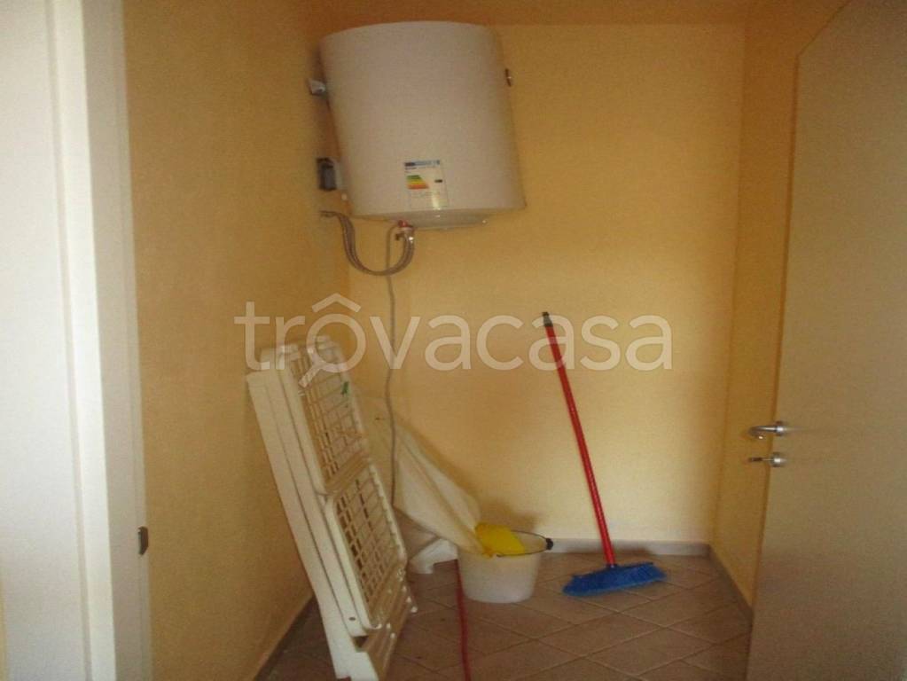 immagine annuncio 7 di 11