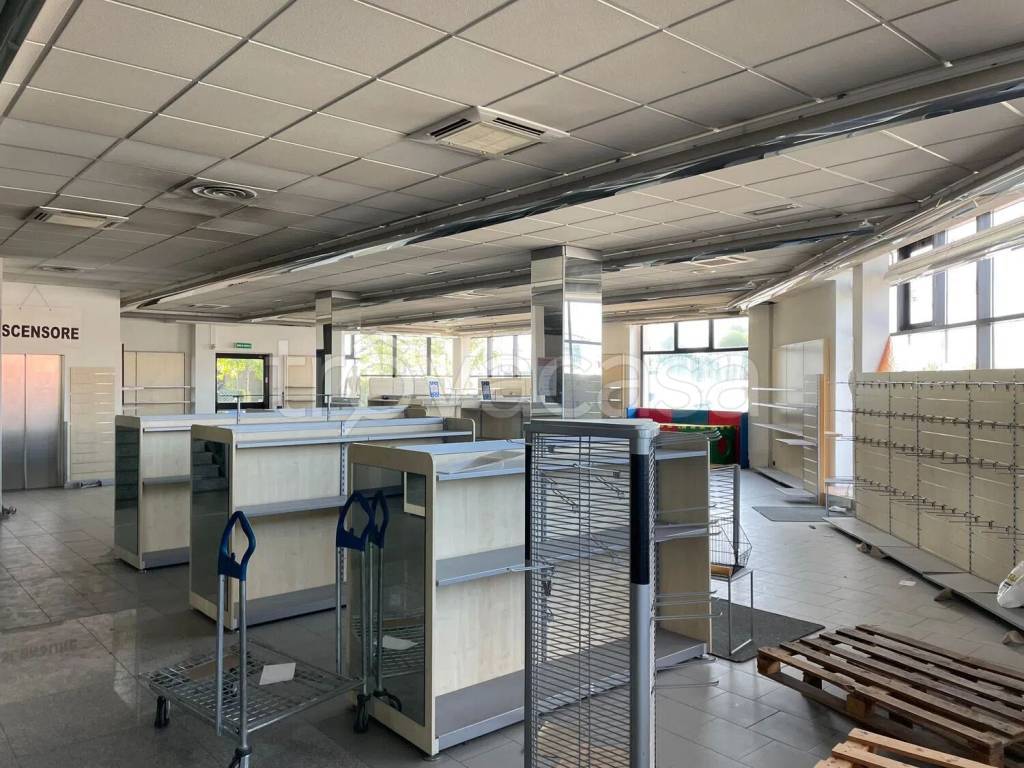 immagine annuncio 7 di 15