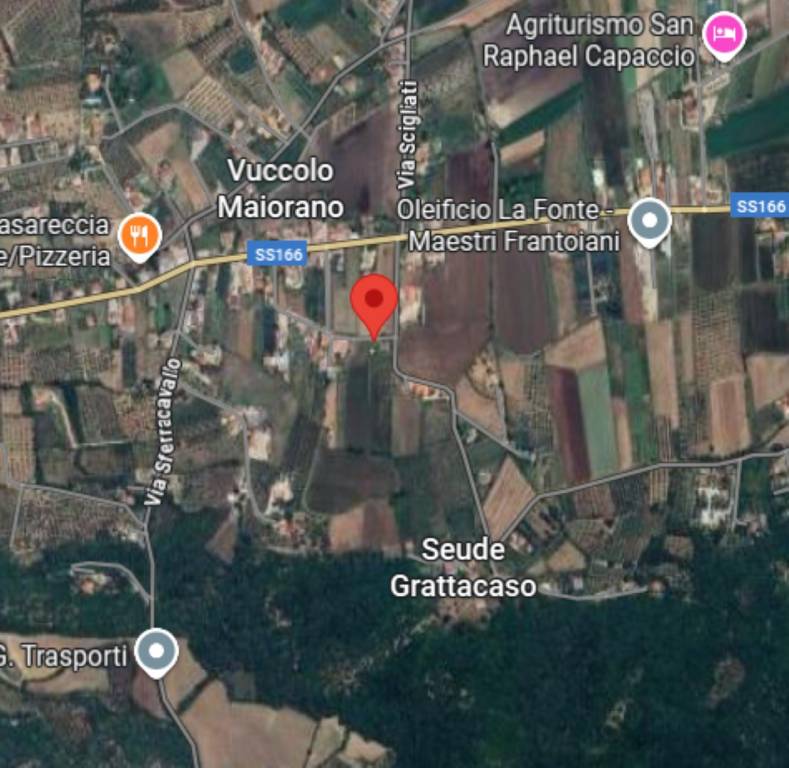 immagine annuncio 7 di 12