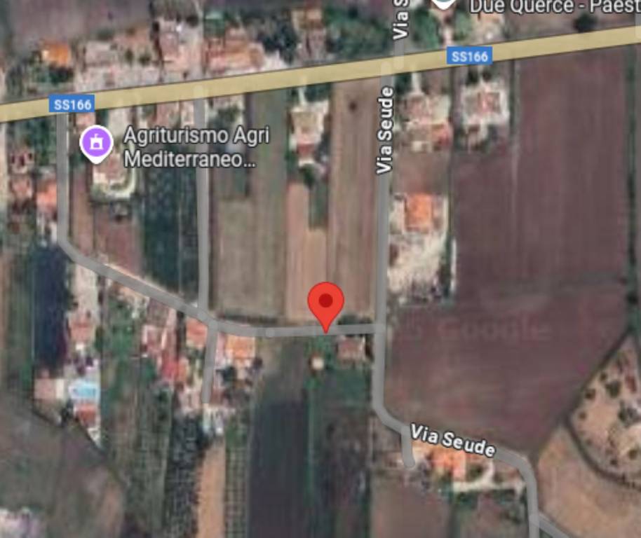 immagine annuncio 10 di 12