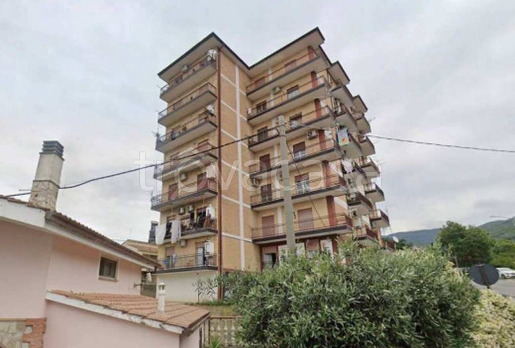 immagine annuncio 8 di 13