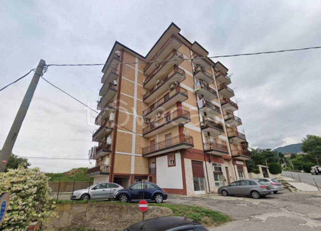 immagine annuncio 12 di 13