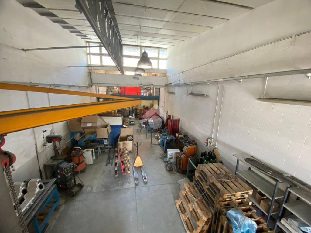 immagine annuncio 3 di 15