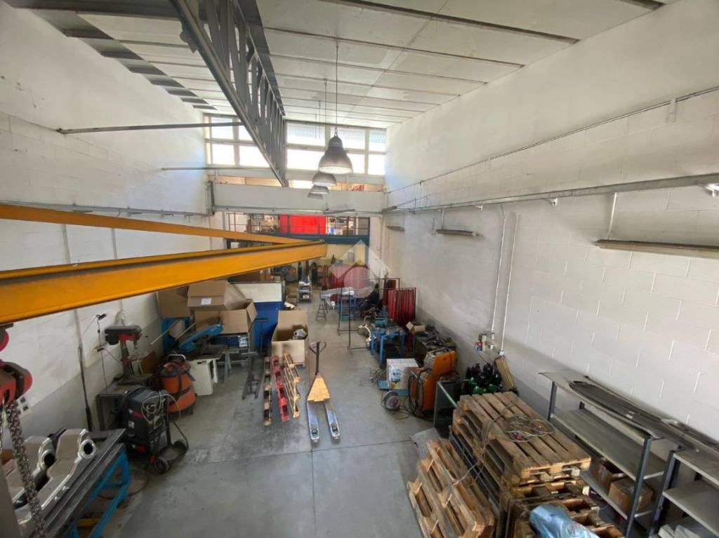 immagine annuncio 4 di 15