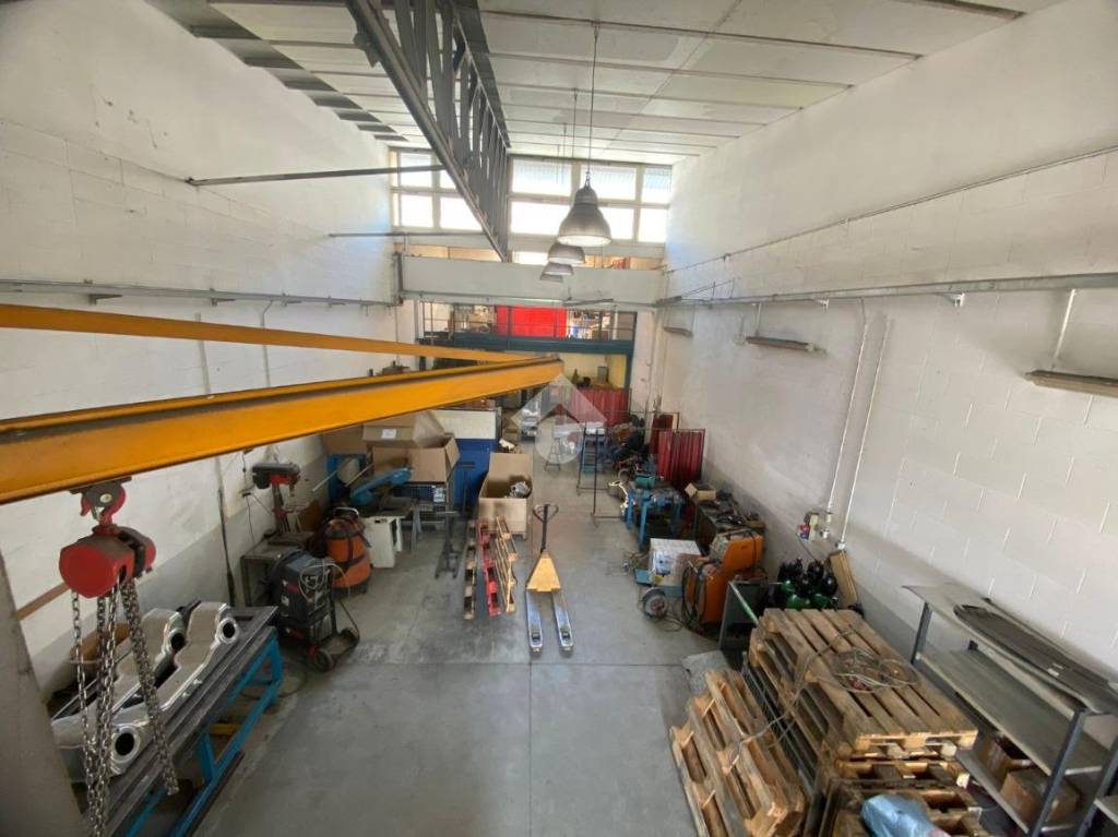 immagine annuncio 5 di 15