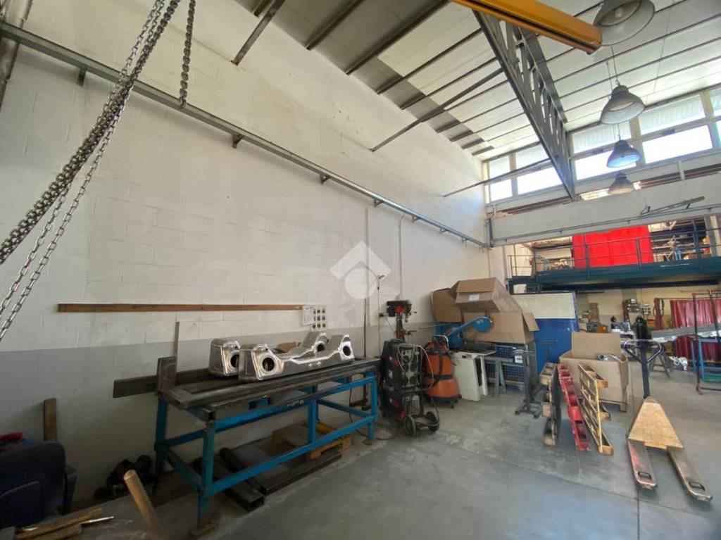 immagine annuncio 6 di 15