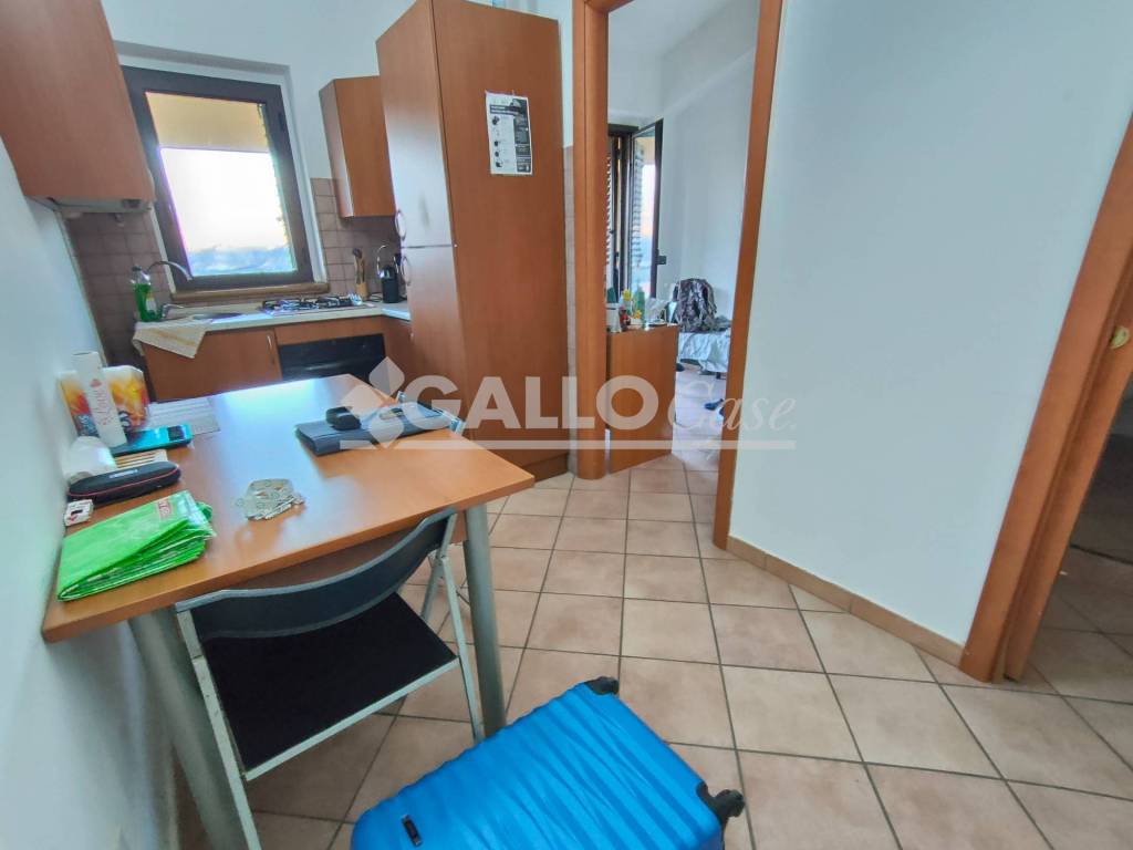 immagine annuncio 2 di 14