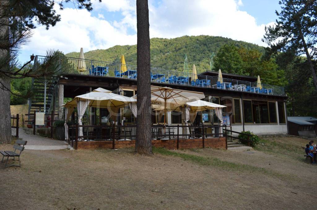 immagine annuncio 6 di 12