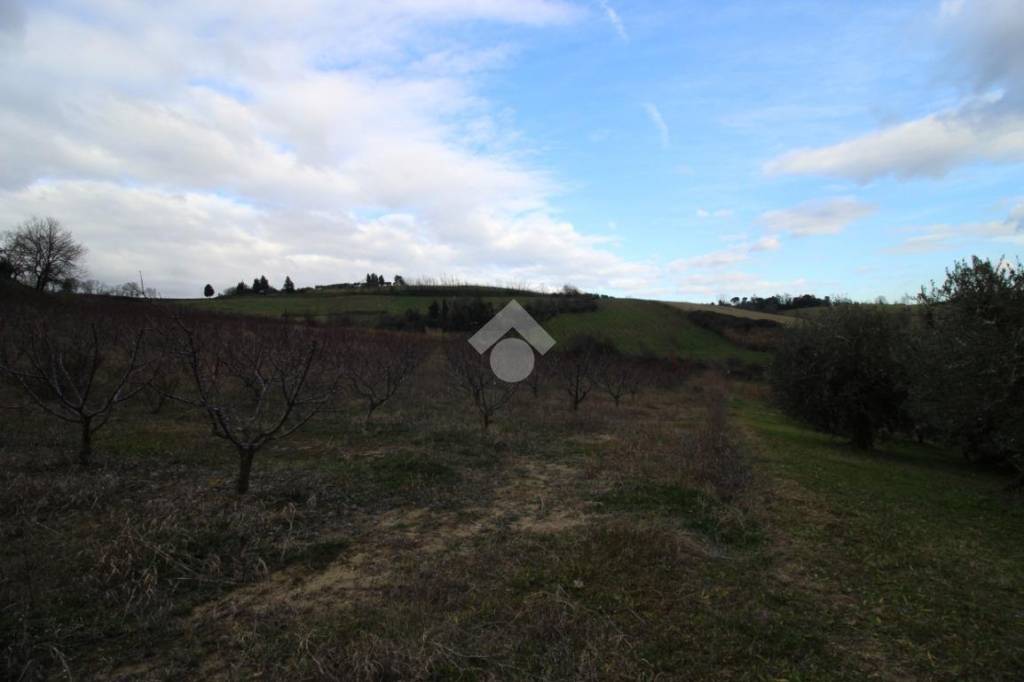 immagine annuncio 7 di 14