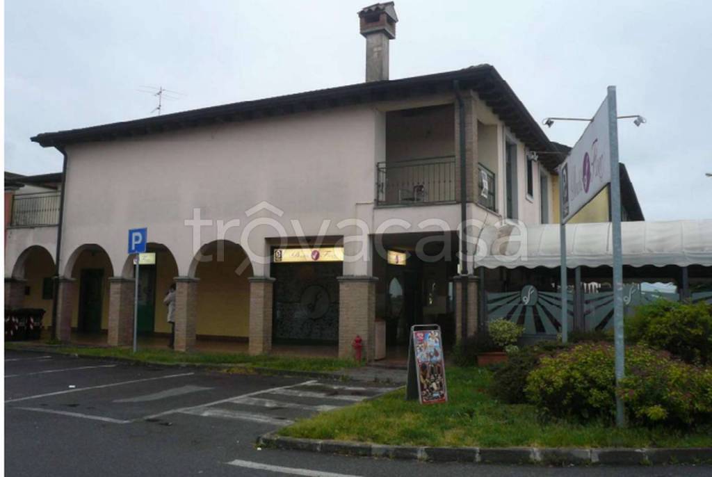 immagine annuncio 11 di 12