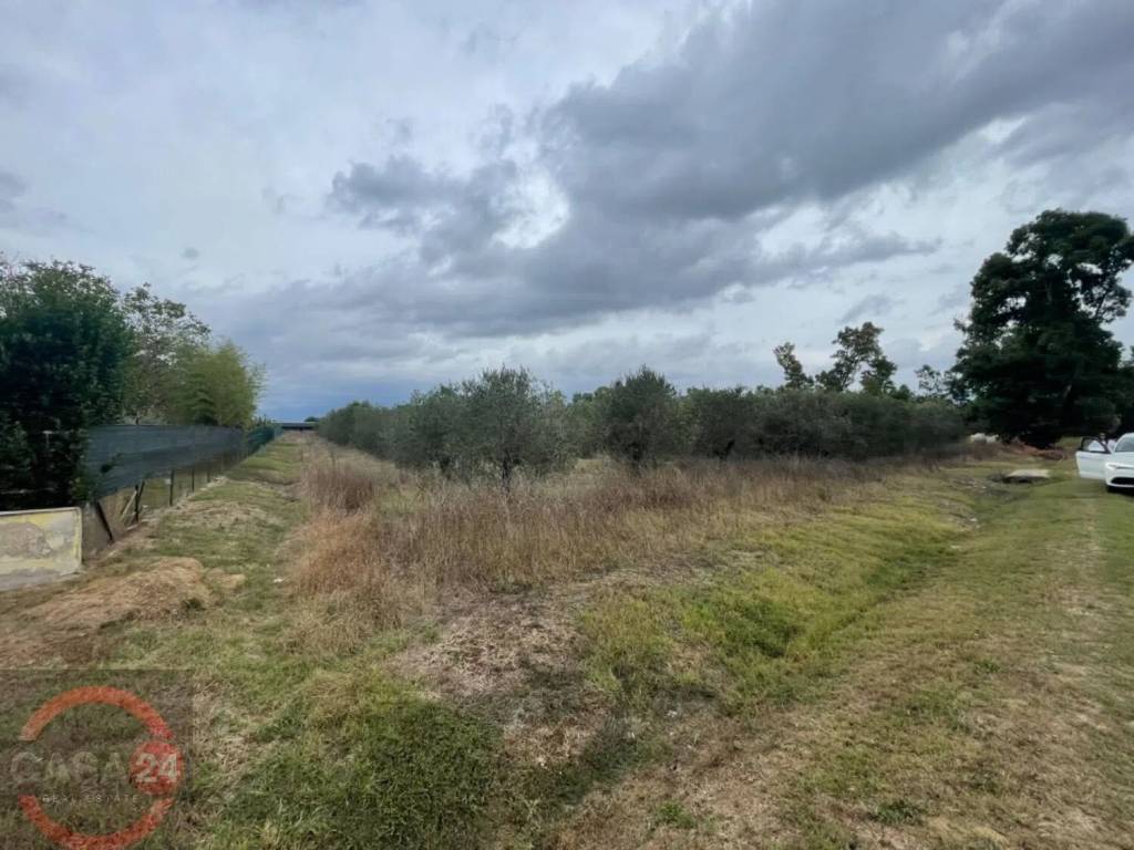 immagine annuncio 1 di 7