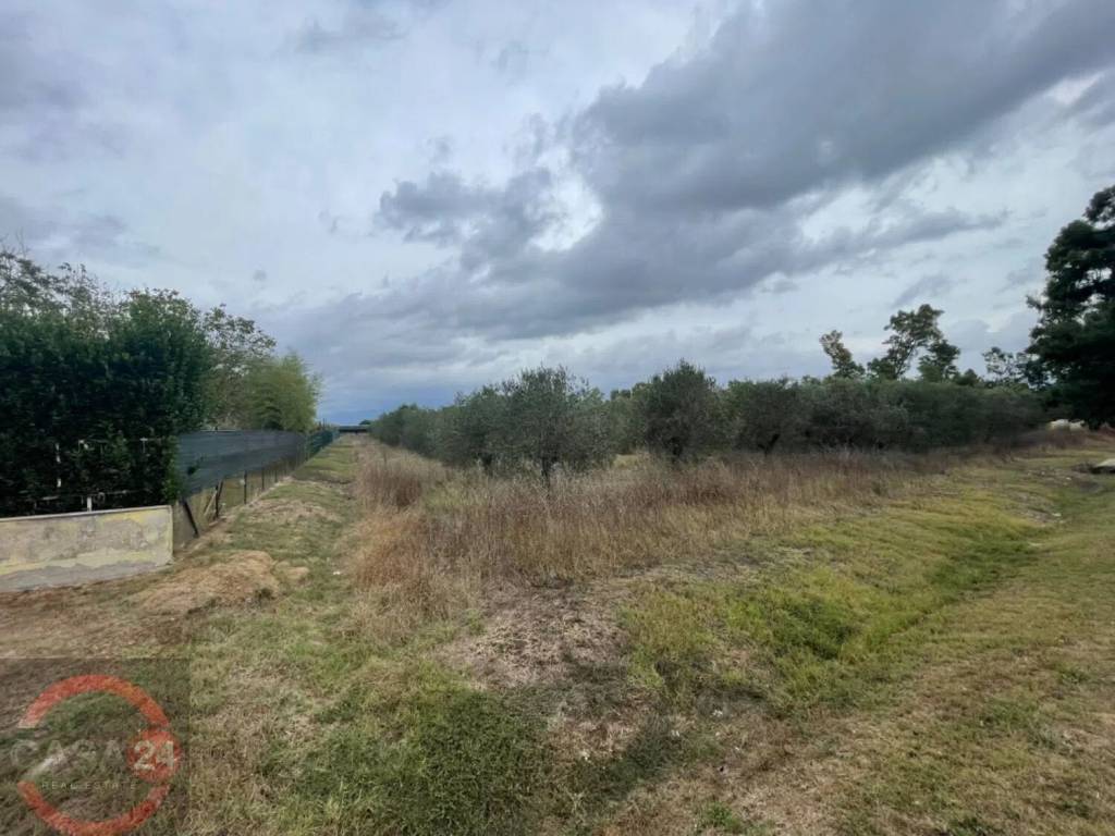 immagine annuncio 2 di 7