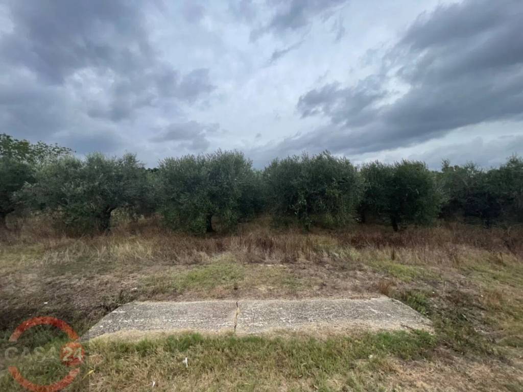 immagine annuncio 3 di 7