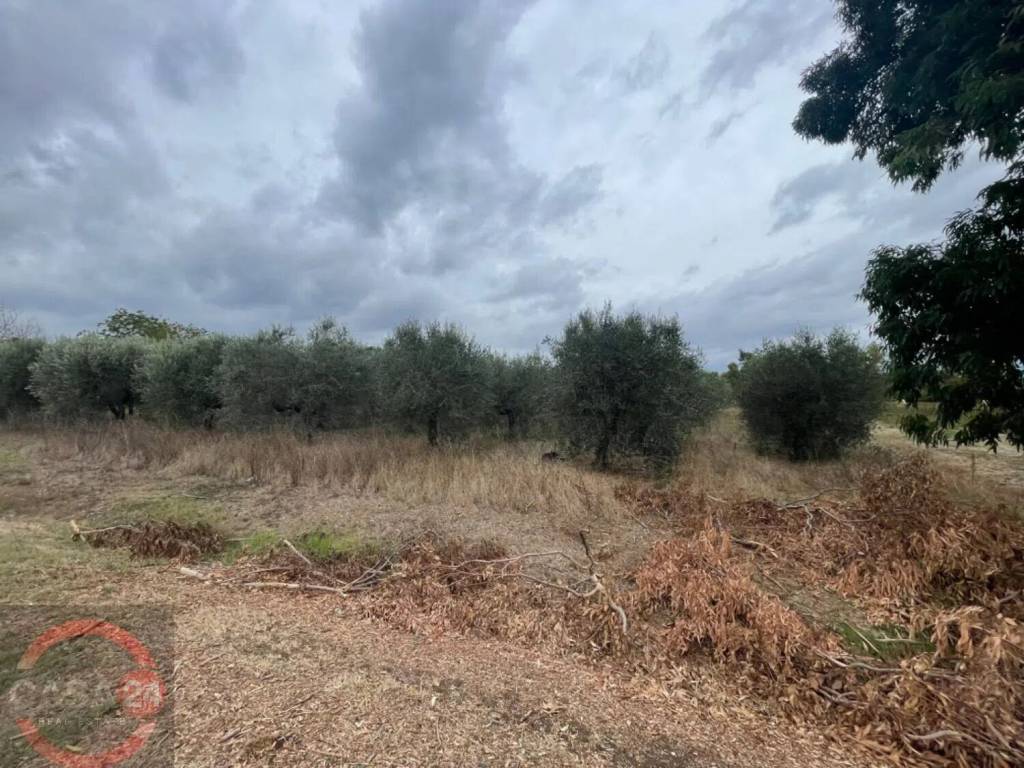 immagine annuncio 4 di 7